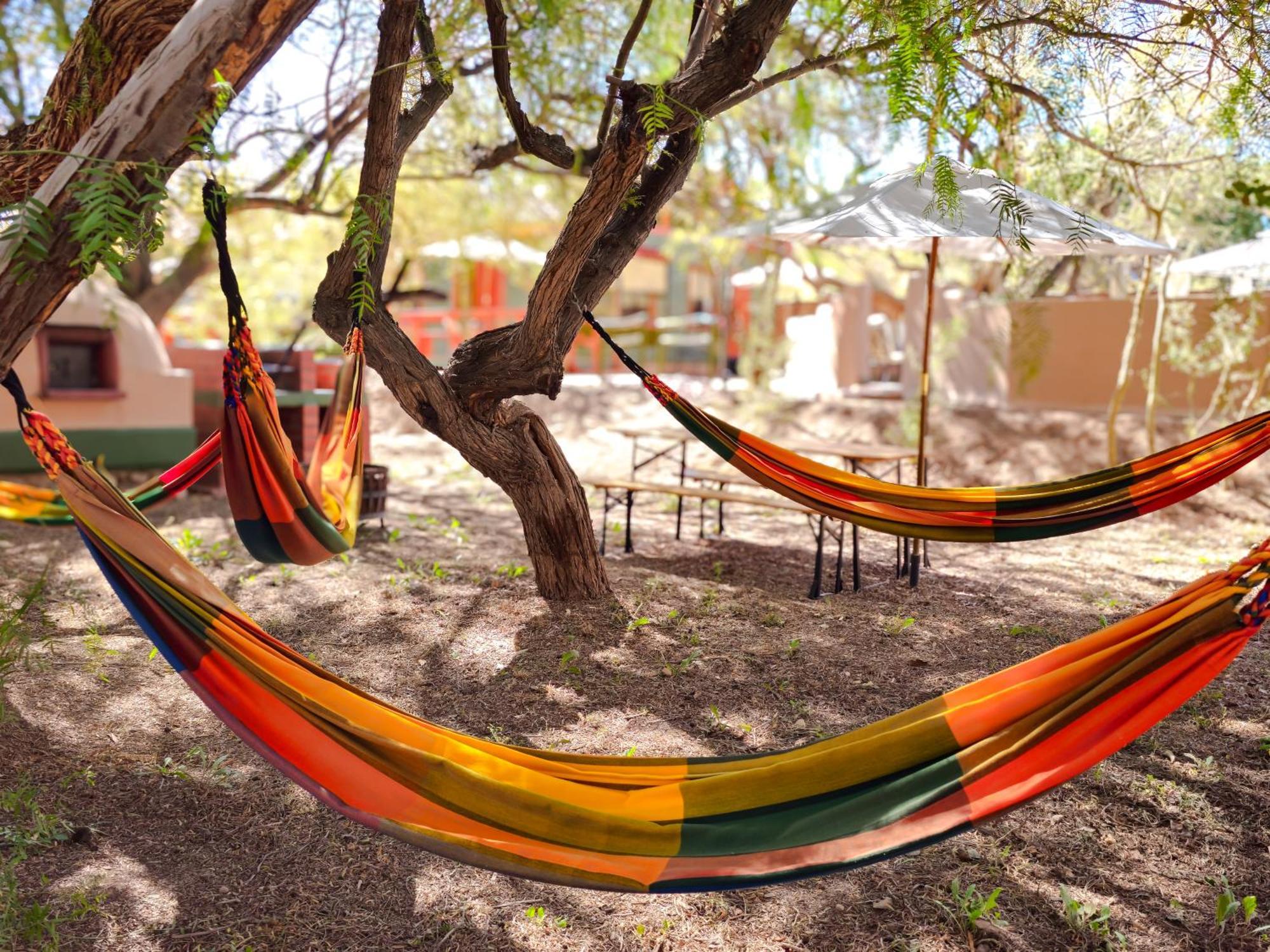 Lodge Ancar Atacama San Pedro de Atacama Ngoại thất bức ảnh