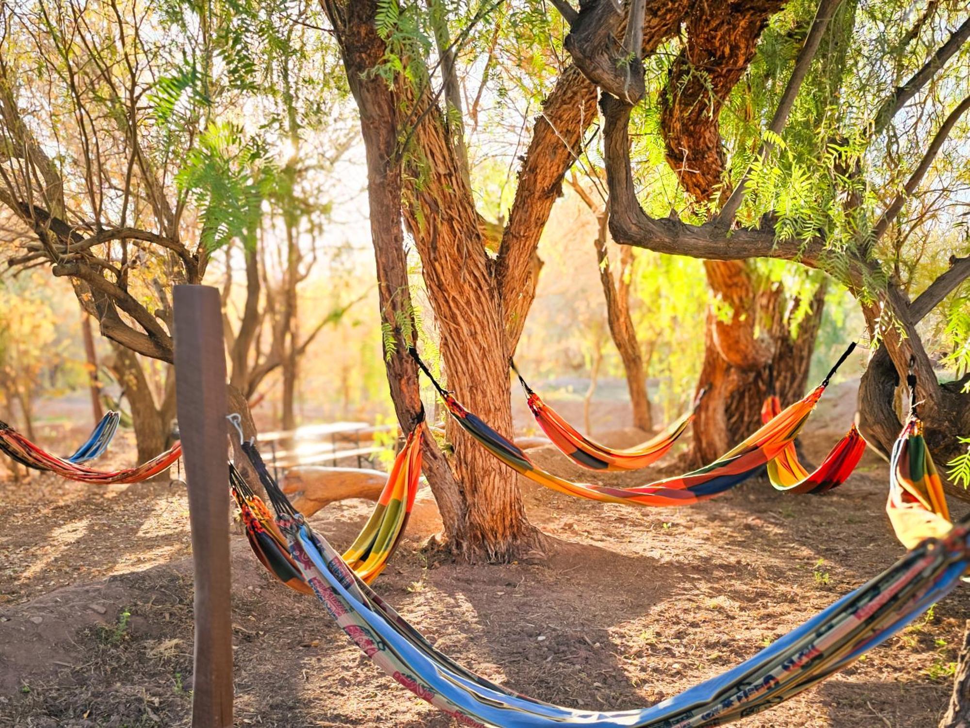 Lodge Ancar Atacama San Pedro de Atacama Ngoại thất bức ảnh