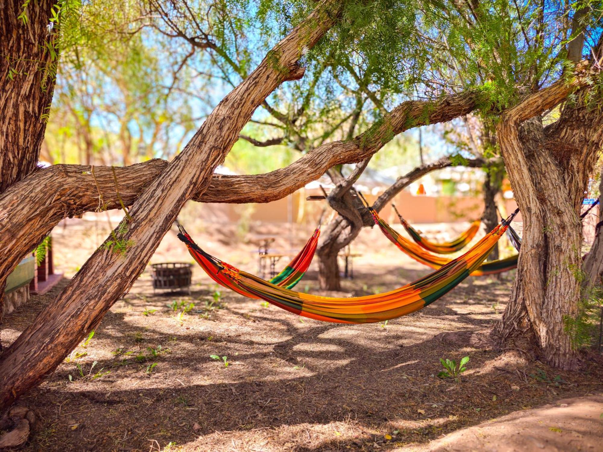 Lodge Ancar Atacama San Pedro de Atacama Ngoại thất bức ảnh